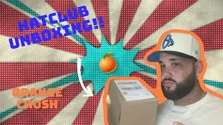 HatClub Sleeper Collection Of The Year? | Orange Crush Unboxing🍊