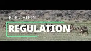 POPULATION REGULATION
