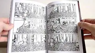 Dungeon Quest Book 2 by Joe Daly - video preview