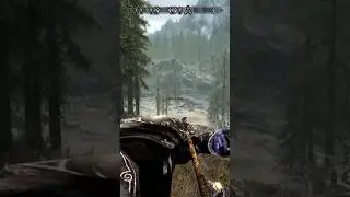 Skyrim - Insane Shot On Sabre Cat