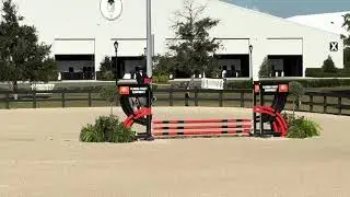 Heavenly Blue USEF 5411725 - Hunter / Jumper & Foxhunter 