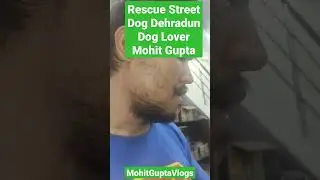 Rescue Street Dog Dehradun Dog Lover Mohit Gupta..