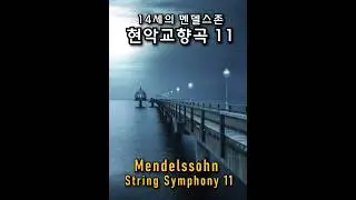Bright and Energetic Allegro, Mendelssohn String Symphony No.11  #fullscore / 현악 교향곡 1악장