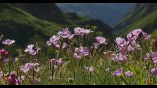 Lago di Malciaussia in 4k