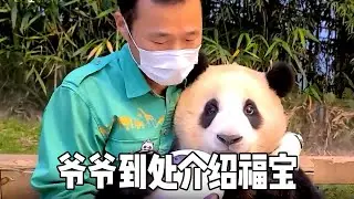 爷爷到处介绍福宝，给乐宝看女儿出生视频，真是操碎了心【蛙探】