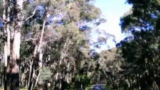 Wattle Flat