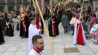 Procesión Domingo de Ramos 2025 en Palencia.