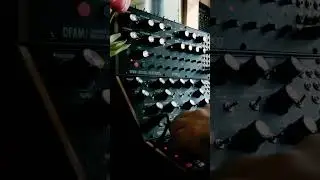 One Day #3 (dfam, subharmonicon) #dawless #moog