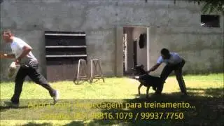ADA TRAINING - Italo e Aruke,   lan&ccedil;ado