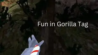 Having Fun in Default lobbies. (Gorilla Tag)