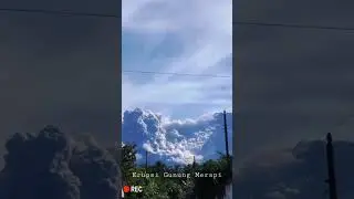 Guguran Kubah Lava Erupsi Gunung Merapi #shorts #erupsimerapi #gunungmerapi #merapihariini