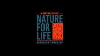 Greening our Wallets in Development, Finance, and Business
