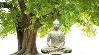 The Bodhi Tree by The Wayfarers