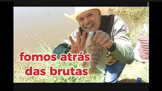 Muito cuidado com carrapato,ele &eacute; perigoso. Pescaria de tilapia,s&oacute; alegria!