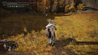 This dog deals 11,640 damage per second