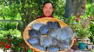 The Ultimate Soft-Shell Turtle Braised in a Chili Mountain — Perfect for Spice Fans!