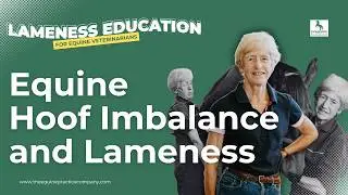 Equine Hoof Imbalance and Lameness: Diagnosing the Subtle Signs