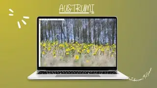 AUSTRUMI Uses Less Memory &/or Has Less Processor-speed Requirement Than a More 