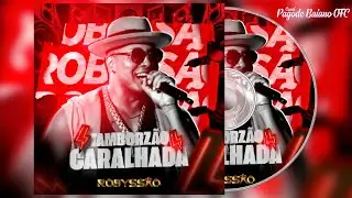 ROBYSS&Atilde;O 2024 -Tambozao Caralhada