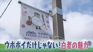 【公式】『ウポポイだけじゃない白老の魅力』LOVE HOKKAIDO#388 2020年12月5日放送