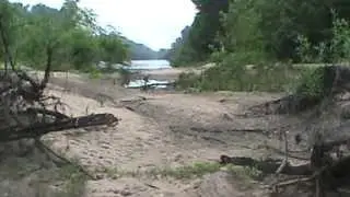 Broad River's Last Chance Sandbar............peace and quiet.