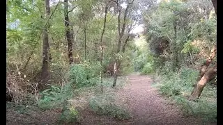 Marche virtuelle dans la foret de Longeville sur mer