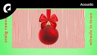 Craig Reever - Miracle In Town