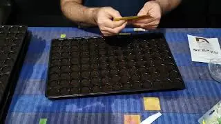 CUM FACEM RASAD DE LEUSTEAN, TELINA, PATRUNJEL,MARAR !