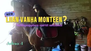 Montéa nelikymppisenä, uhka vai mahdollisuus? Tästä kaikki alkaa...