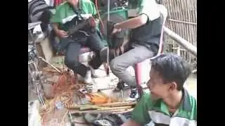 aladu group sumedang Yank