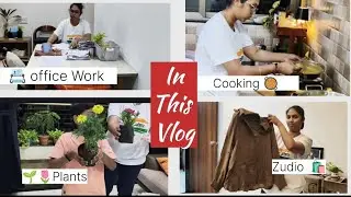 Kya Liya Aaj ,Pakoda Pancake  kadhi ke liye Cooking, Plant, Office Work 