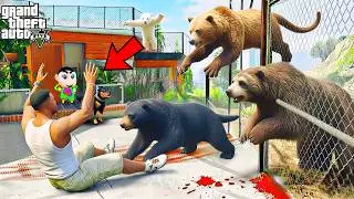 Franklin Bear Fight Wild Street Dogs in Los Santos | Gta 5