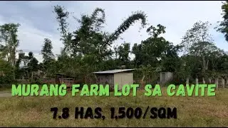 Murang Farm Lot sa Cavite//7.8 has, 1,500/sqm