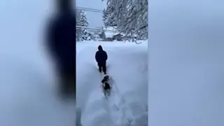 Crews, residents work to clear roads after heavy snowfall in parts of Ontario