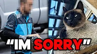 Amazon Drivers are Stealing Pets Now