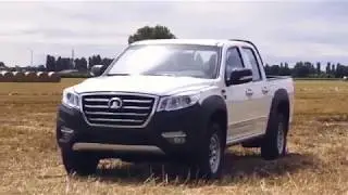 Patrignani Auto Great Wall Steed 6 WORK