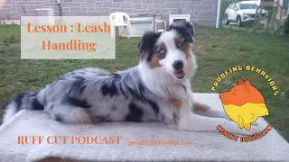 Lesson Leash handling  part 5 ruff cut podcast