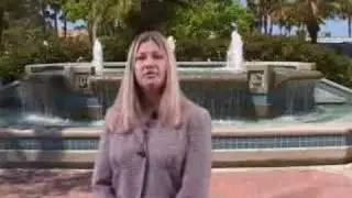 Mentoring Success with Lynn Pierce, The Success Architect