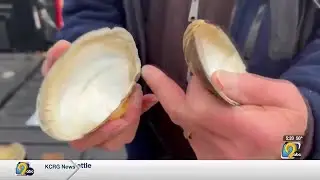 Mussels an important part of Wapsipinicon ecosystem