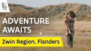 Feel the calm of micro-adventures in Zwin | Discover Nature in Flanders | Discover Zwin 🌊