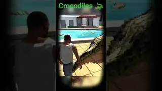 crocodiles in swimming pool#Indian bike driving#gaming#viral shots#trending shorts