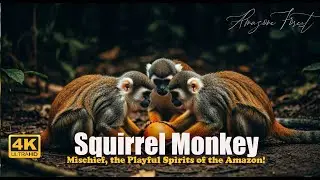 Squirrel Monkey: Mischief of the Trees 🐒 The Playful Spirits of the Amazon!