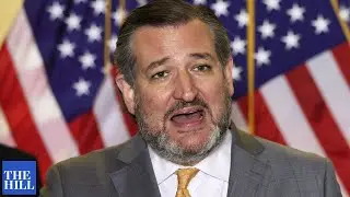 Ted Cruz TORCHES 'bigoted' and 'marxist' critical race theory