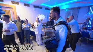 👉 Orkestar Zorana Zarića & Stefan Lukić ── ⋆&sdot;☆&sdot;⋆ ── Momak veseljak!!! LIVE! 🚀🎵🎶