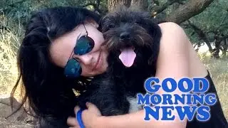 Good Morning News! Stray dog rescues woman!