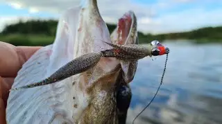 Duck (mallard) feathers streamer | making & fishing