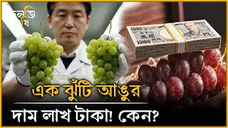 যে কারণে এই আঙুর সোনার দামে বিক্রি হয়! | চলতি কৃষি