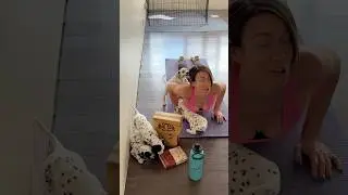 Dalmatians take over yoga class! 🐾😂 #puppyyoga #dalmatians #dogs