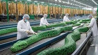 Inside the Snake Leather Factory &ndash; Full Process of Making Luxury Jackets (Full Process)