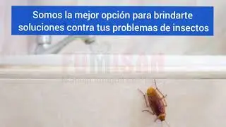 Fumisan Soluciones Efectivas